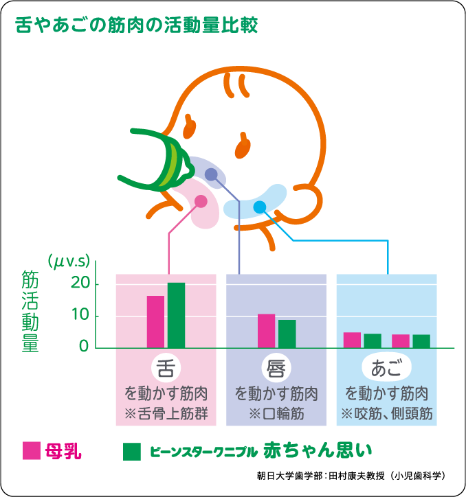 ニプル 哺乳びんの使い方 まめコミ